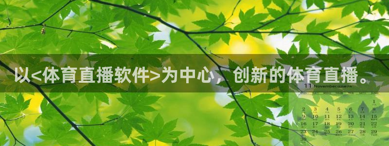 以<体育直播软件>为中心，创新的体育直播。
