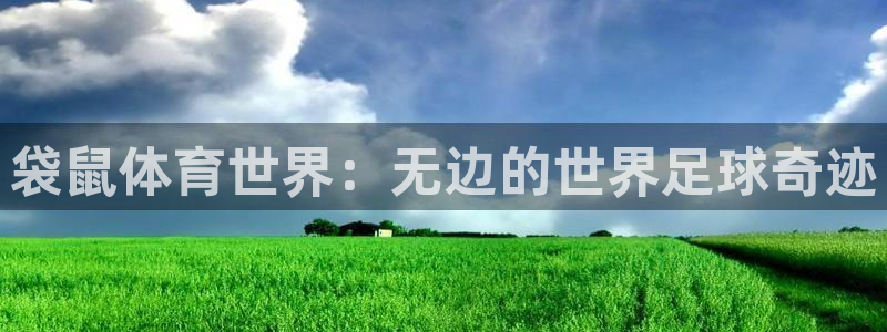 袋鼠体育世界：无边的世界足球奇迹