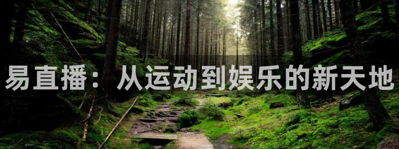 易直播：从运动到娱乐的新天地
