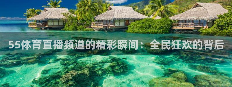 55体育直播频道的精彩瞬间：全民狂欢的背后
