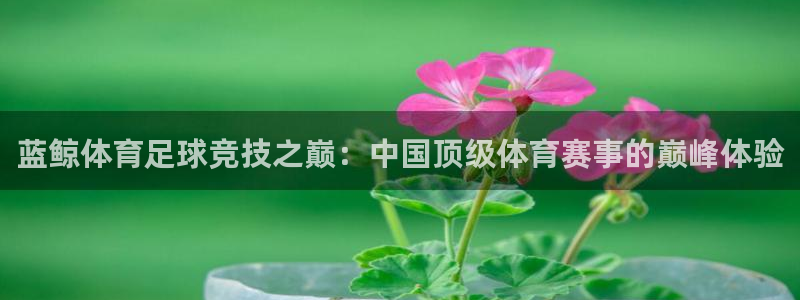 蓝鲸体育足球竞技之巅：中国顶级体育赛事的巅峰体验
