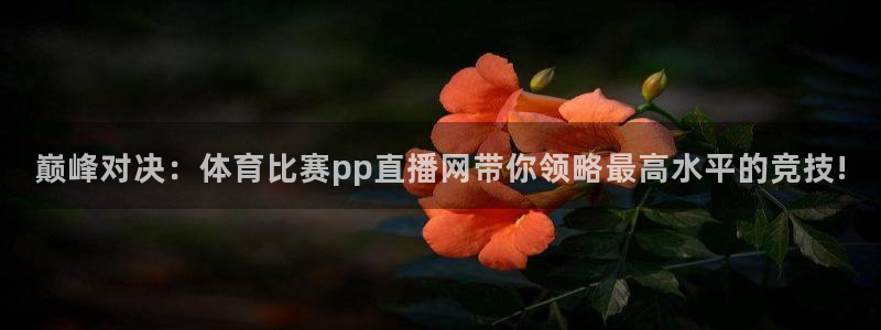 巅峰对决：体育比赛pp直播网带你领略最高水平的竞技!