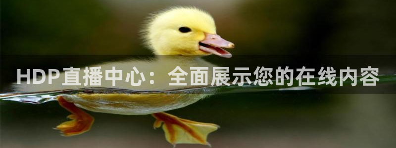 HDP直播中心：全面展示您的在线内容