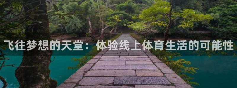飞往梦想的天堂：体验线上体育生活的可能性